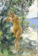 Anders Zorn After the Bath, oil painting artist